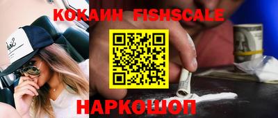 индика Заводоуковск