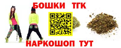 индика Заводоуковск