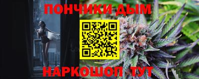 индика Заводоуковск