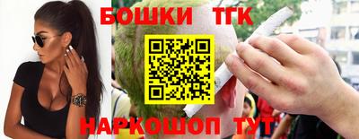 индика Заводоуковск