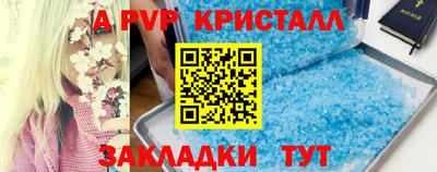 индика Заводоуковск