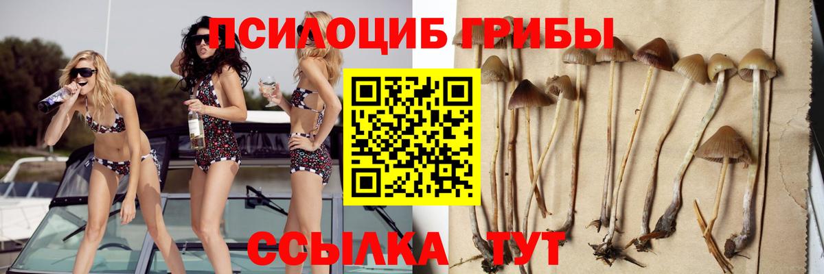 Галлюциногенные грибы MAGIC MUSHROOMS Дюртюли