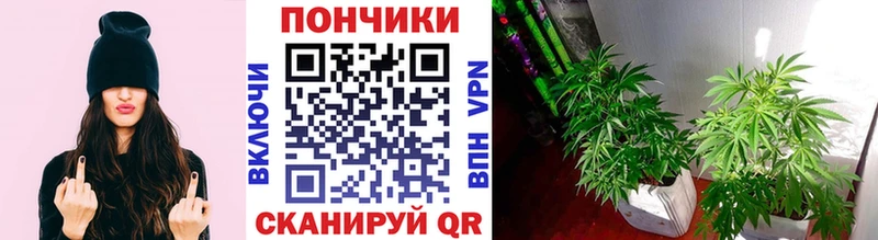 Шишки марихуана LSD WEED  Дюртюли 